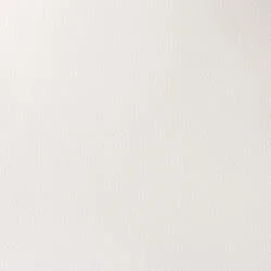 Titanium White (Opaque White) (S1)